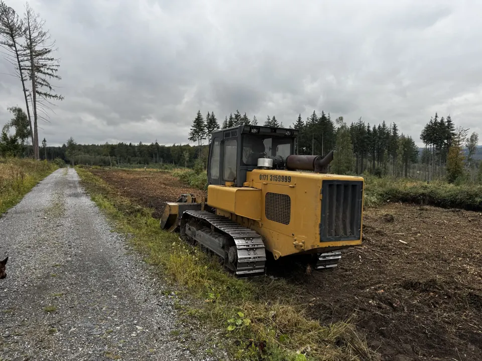 Gelbes Raupenfahrzeug neben dem Waldweg