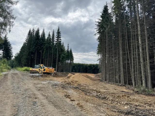 Erdarbeiten mit Baumaschinen zwischen hohen Nadelbäumen
